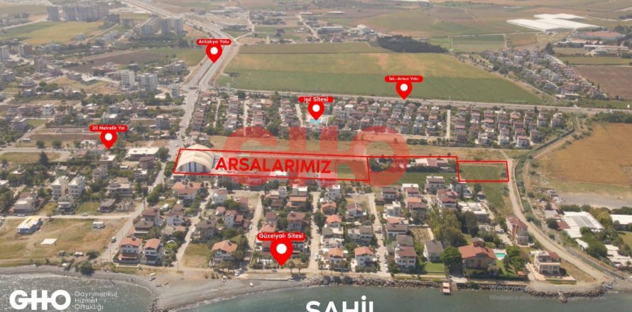 Tom  i Karaagac, Hatay, Tyrkiet Nr. 120710