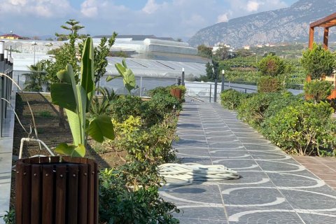 Daire 1+1 Kargıcak, Alanya, Antalya, Türkiye №134949 - 6
