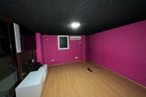 Erhvervsejendom  i Alanya, Antalya, Tyrkiet Nr. 132832 - 10