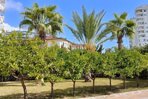 آپارتمان در در Aramis Terrace 2 Alanya ، ترکیه 1 خوابه ، 1000 متر مربع.  شماره 146089 - 21
