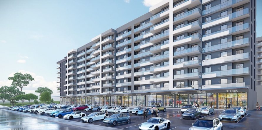 Bordo Prestij  i Ankara, Tyrkiet Nr.146240