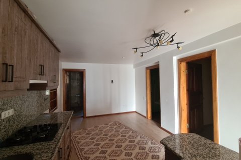 Продажа виллы  в Сельчуке, Измире, Турция 10+1, 500м2, №115544 – фото 15