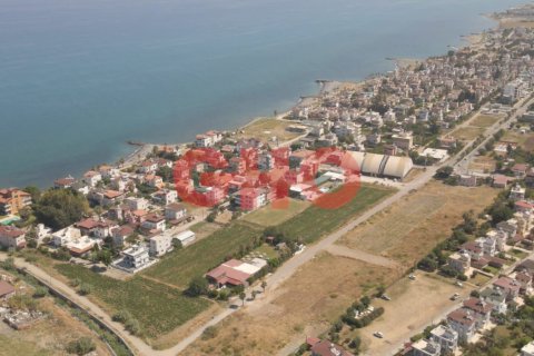 Tomt i Karaagac, Hatay, Tyrkia Nr. 120706