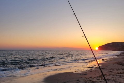 Daire 2+1 Konaklı, Antalya, Türkiye №111519 - 15