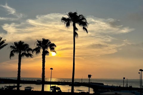 1+1 Lejlighed i Side, Antalya, Tyrkiet Nr. 119001 - 14