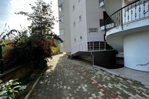 45aea6a6acd1ce0bc91d37ce1d237fde.jpg