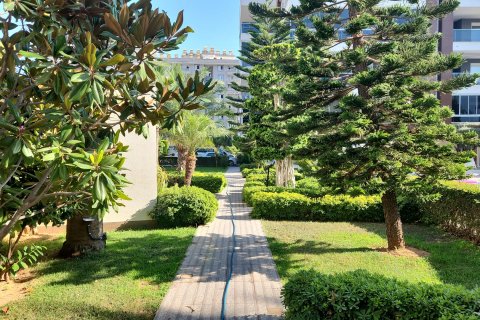 in Tosmur, Alanya, Antalya, Türkei Nr. 142799 - 26