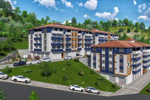 Kavallar Yasam Kent  i Bartin, Turkiet Nr.145581