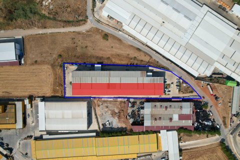 Kommersiella fastigheter i Izmir, Turkiet Nr. 185051 - 9