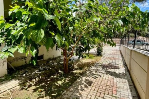 2+1 Wohnung  in Cikcilli, Antalya, Türkei Nr. 121515 - 13