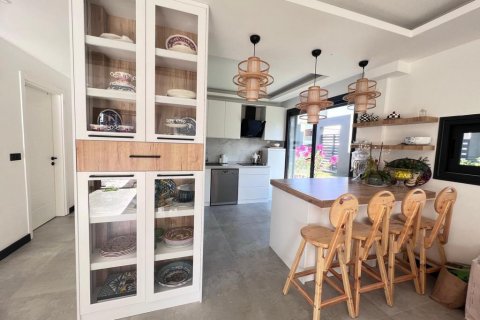 3+1 Villa i Izmir, Tyrkia Nr. 142369 - 4