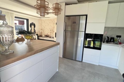 3+1 Villa i Izmir, Tyrkia Nr. 142369 - 3