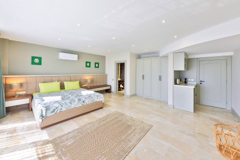 Villa  5+1  Kalkan, Antalya, Türkiye №211644 - 17