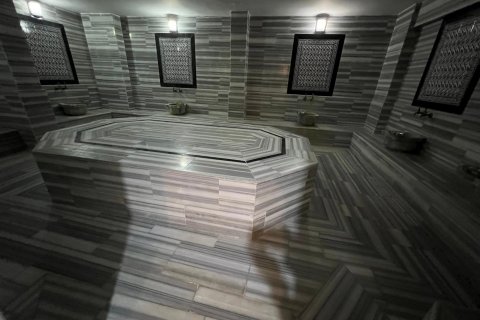 آپارتمان در  Kestel ، ترکیه 1 خوابه ، 62 متر مربع.  شماره 144340 - 18