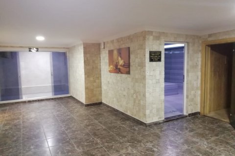 2+1 Takvåning  i Kestel, Antalya, Turkiet Nr. 116869 - 21