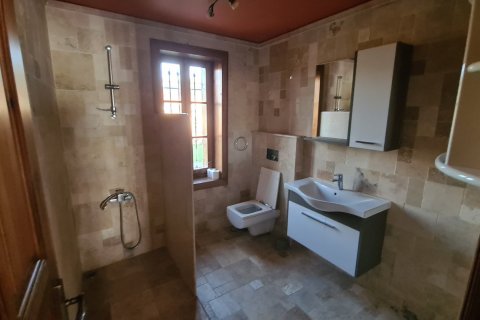 Продажа виллы  в Сельчуке, Измире, Турция 10+1, 500м2, №115544 – фото 19