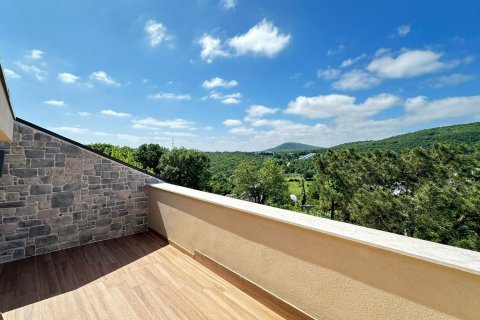 5+3 Villa in Istanbul, Türkei Nr. 210444 - 10