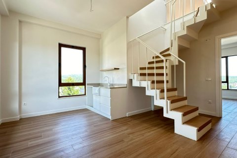 5+3 Villa in Istanbul, Türkei Nr. 210444 - 12