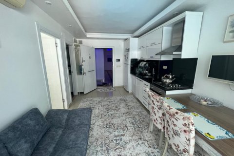 آپارتمان در Alanya ، ترکیه 1 خوابه ، 55 متر مربع. شماره 134453 - 2