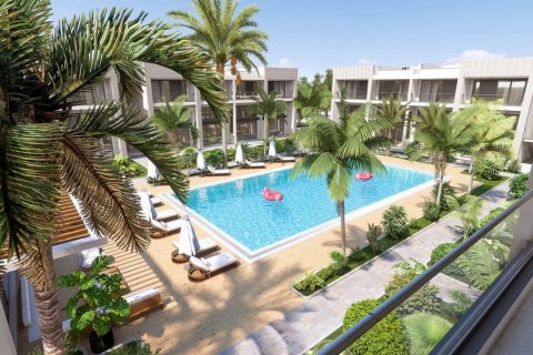 Delonix  i Karsiyaka, Girne,  Nr.142998