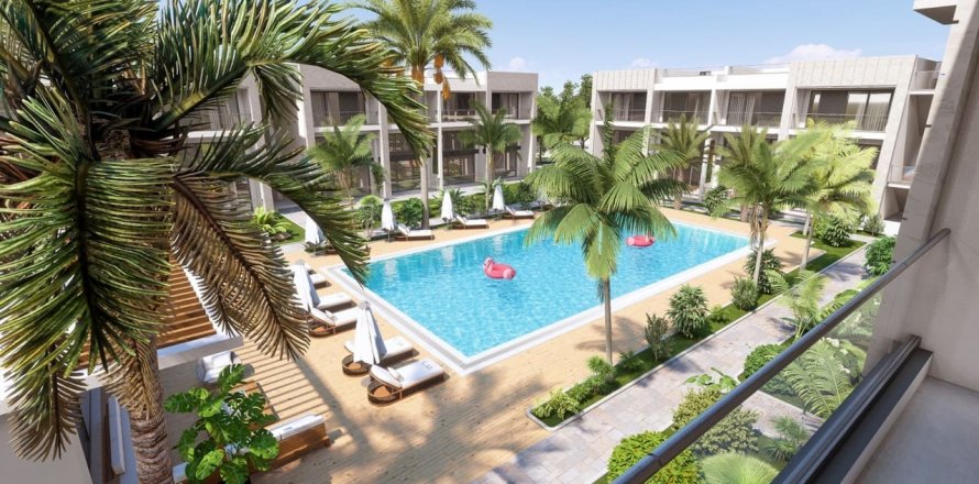 Delonix in Karsiyaka, Girne, Nr.142998