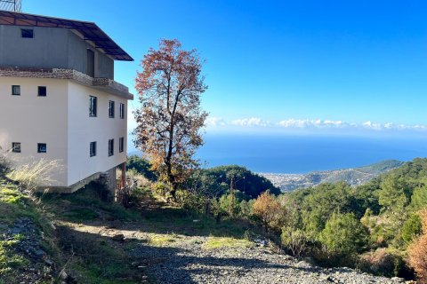 Tömma i Bektas, Alanya, Antalya, Turkiet Nr. 147964 - 9