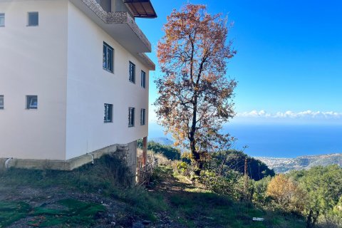 Tömma i Bektas, Alanya, Antalya, Turkiet Nr. 147964 - 11