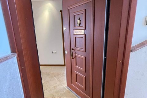 2+1 Lägenhet i Mahmutlar, Antalya, Turkiet Nr. 114005 - 3
