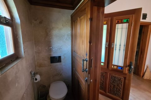 Продажа виллы  в Сельчуке, Измире, Турция 10+1, 500м2, №115544 – фото 26
