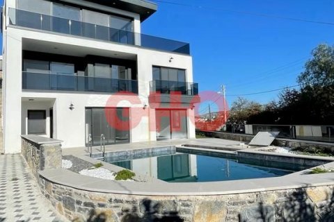 5+2 Villa  i Yalikavak, Mugla, Turkiet Nr. 111045 - 3