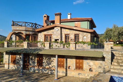 Продажа виллы  в Сельчуке, Измире, Турция 10+1, 500м2, №115544 – фото 2