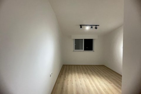 پنت هاس در Demirtas،  Alanya ، ترکیه 2 خوابه ، 100 متر مربع.  شماره 123074 - 8