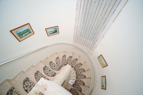 3+1 Villa  in Konakli, Antalya, Türkei Nr. 141948 - 15