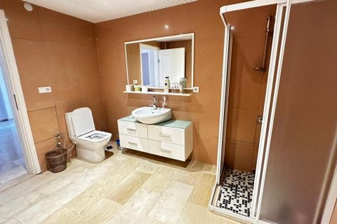 4+1 Villa i Alanya, Antalya, Turkiet Nr. 145521 - 10