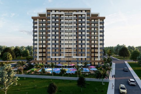 Palm Brandom  in Erdemli, Mersin, Turkey No.113655