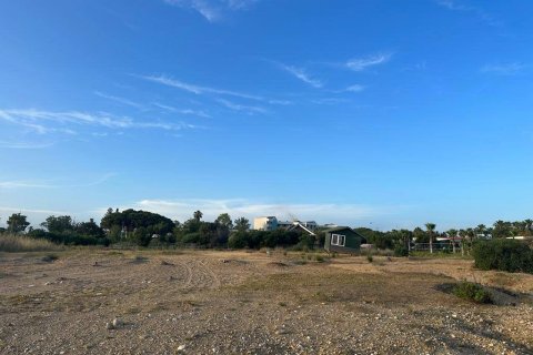 Land  in Side, Antalya, Türkei Nr. 130820 - 13