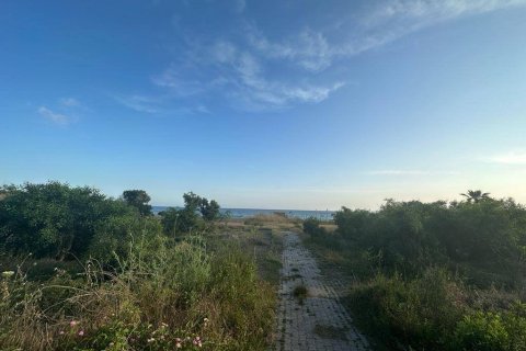 Land  in Side, Antalya, Türkei Nr. 130820 - 11