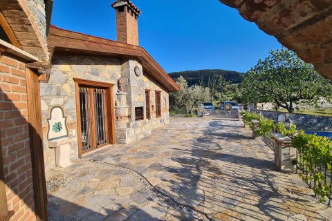 Продажа виллы  в Сельчуке, Измире, Турция 10+1, 500м2, №115544 – фото 6