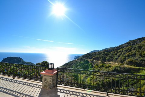 3+1 Villa  i Gazipasa, Antalya, Turkiet Nr. 117757 - 11