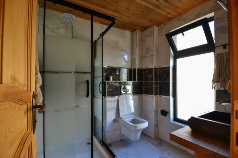 3+1 Villa  i Gazipasa, Antalya, Turkiet Nr. 117757 - 10
