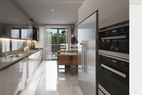 4+1 Lejlighed  i Istanbul, Tyrkiet Nr. 154922 - 7
