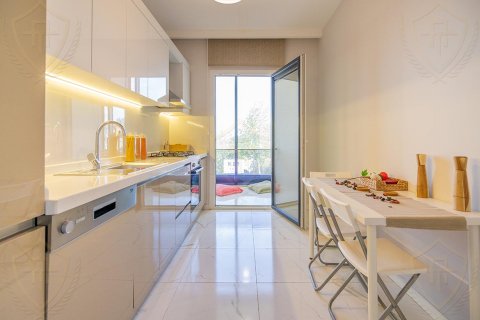 2+1 Leilighet i Istanbul, Tyrkia Nr. 147830 - 9