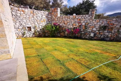 Oxygen Plus in Bodrum, Mugla, Turkey No.113254 – photo 9