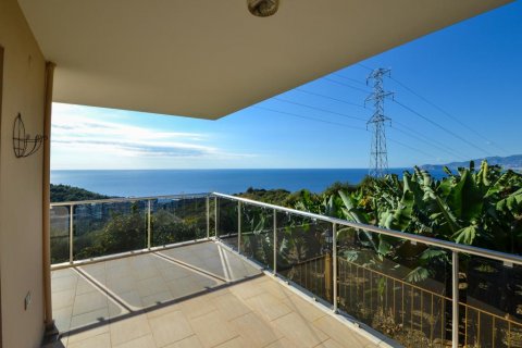 Lejlighed i Kargicak, Alanya, Antalya, Tyrkiet Nr. 153044 - 5