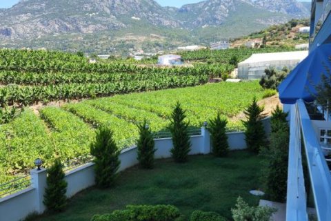 Leilighet i Mahmutlar, Antalya, Tyrkia Nr. 153047 - 23