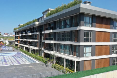 Akasya in Yalova, Türkei Nr.153491 - 6