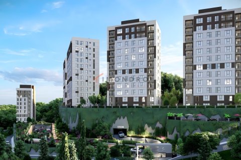 1+1 Lejlighed  i Eyup, Istanbul, Tyrkiet Nr. 151613 - 3