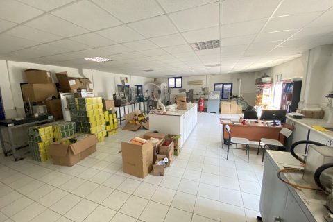 Erhvervsejendom  i Izmir, Tyrkiet Nr. 210445 - 7