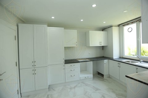 4+1 Villa i Bueyuekcekmece, istanbul, Turkiet Nr. 131199 - 18