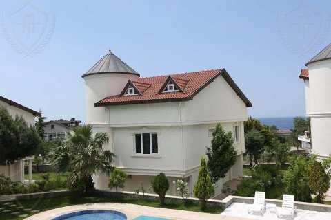 4+1 Villa i Bueyuekcekmece, istanbul, Turkiet Nr. 131199 - 2